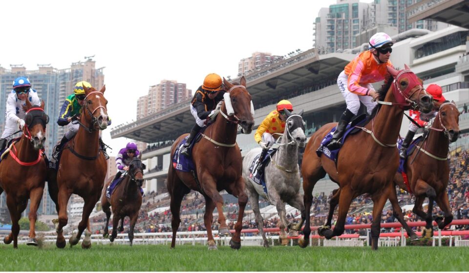 Horse racing exchange betting
